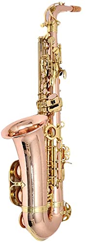 PLAYTECH PTAS-350 アルトサックスローズブラス +α Amazon | PLAYTECH (プレイテック) アルトサックス ローズブラス